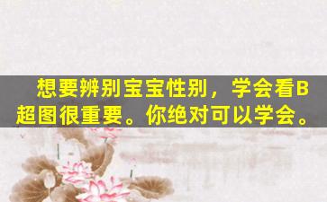 想要辨别宝宝性别，学会看B超图很重要。你绝对可以学会。