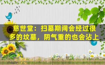 慈世堂：扫墓期间会经过很多的坟墓，阴气重的也会沾上