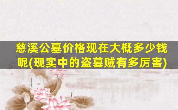 慈溪公墓价格现在大概多少钱呢(现实中的盗墓贼有多厉害)