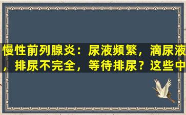 慢性前列腺炎：尿液频繁，滴尿液，排尿不完全，等待排尿？这些中国专利药品可用