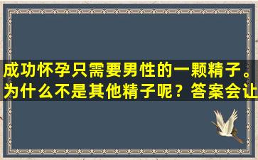 成功怀孕只需要男性的一颗精子。为什么不是其他精子呢？答案会让你大吃一惊。