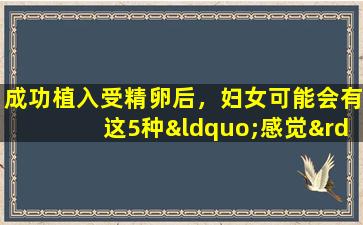 成功植入受精卵后，妇女可能会有这5种“感觉”。让我们看看您是否有？