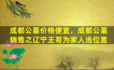 成都公墓价格便宜，成都公墓销售之辽宁王哥为家人选位置