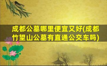 成都公墓哪里便宜又好(成都竹望山公墓有直通公交车吗)