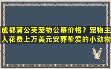 成都蒲公英宠物公墓价格？宠物主人花费上万美元安葬挚爱的小动物