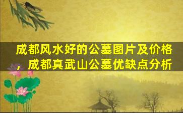 成都风水好的公墓图片及价格，成都真武山公墓优缺点分析