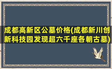 成都高新区公墓价格(成都新川创新科技园发现超六千座各朝古墓)
