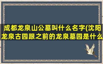 成都龙泉山公墓叫什么名字(沈阳龙泉古园跟之前的龙泉墓园是什么关系是同一家吗)