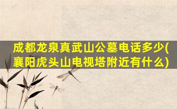 成都龙泉真武山公墓电话多少(襄阳虎头山电视塔附近有什么)