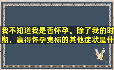 我不知道我是否怀孕。除了我的时期，赢得怀孕竞标的其他症状是什么？