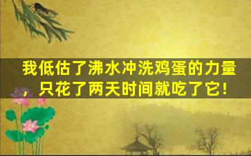 我低估了沸水冲洗鸡蛋的力量，只花了两天时间就吃了它！