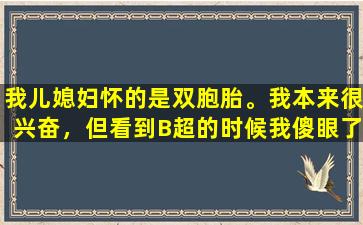 我儿媳妇怀的是双胞胎。我本来很兴奋，但看到B超的时候我傻眼了。