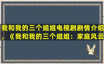 我和我的三个姐姐电视剧剧情介绍，《我和我的三个姐姐：家庭风云录》