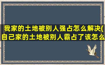 我家的土地被别人强占怎么解决(自己家的土地被别人霸占了该怎么办)