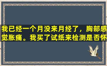 我已经一个月没来月经了，胸部感觉胀痛。我买了试纸来检测是否怀孕。