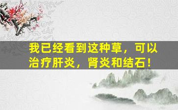 我已经看到这种草，可以治疗肝炎，肾炎和结石！