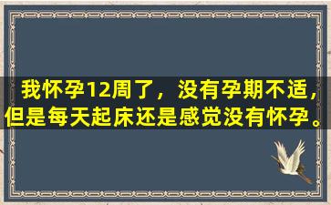 我怀孕12周了，没有孕期不适，但是每天起床还是感觉没有怀孕。这是正常的吗？