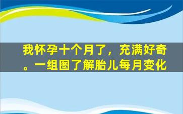 我怀孕十个月了，充满好奇。一组图了解胎儿每月变化