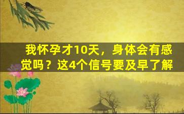 我怀孕才10天，身体会有感觉吗？这4个信号要及早了解