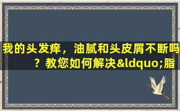 我的头发痒，油腻和头皮屑不断吗？教您如何解决“脂肪性皮炎”