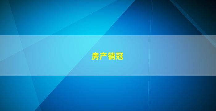 房产销冠