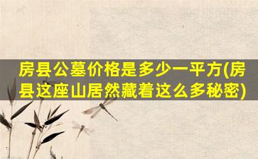 房县公墓价格是多少一平方(房县这座山居然藏着这么多秘密)