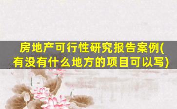 房地产可行性研究报告案例(有没有什么地方的项目可以写)
