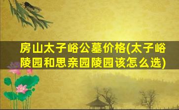 房山太子峪公墓价格(太子峪陵园和思亲园陵园该怎么选)