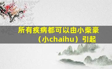 所有疾病都可以由小柴豪（小chaihu）引起