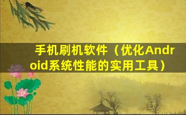 手机刷机软件（优化Android系统性能的实用工具）