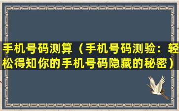 手机号码测算（手机号码测验：轻松得知你的手机号码隐藏的秘密）