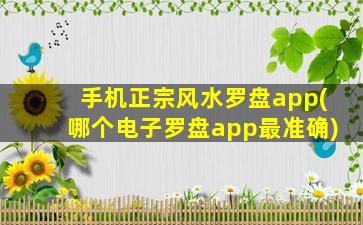 手机正宗风水罗盘app(哪个电子罗盘app最准确)