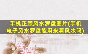 手机正宗风水罗盘图片(手机电子风水罗盘能用来看风水吗)