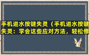 手机进水按键失灵（手机进水按键失灵：学会这些应对方法，轻松修复不再烦恼）