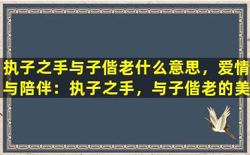 执子之手与子偕老什么意思，爱情与陪伴：执子之手，与子偕老的美好寓意