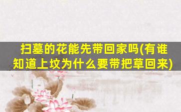 扫墓的花能先带回家吗(有谁知道上坟为什么要带把草回来)