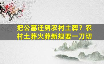 把公墓迁到农村土葬？农村土葬火葬新规要一刀切