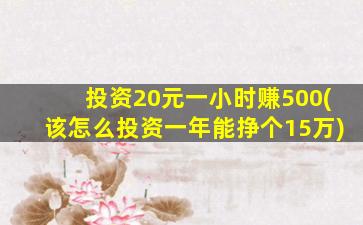 投资20元一小时赚500(该怎么投资一年能挣个15万)