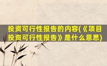 投资可行性报告的内容(《项目投资可行性报告》是什么意思)