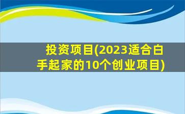 投资项目(2023适合白手起家的10个创业项目)