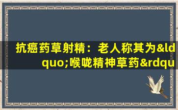 抗癌药草射精：老人称其为“喉咙精神草药”。了解它的人正在河滩上寻找它
