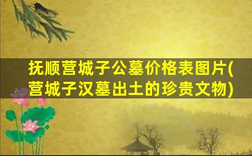 抚顺营城子公墓价格表图片(营城子汉墓出土的珍贵文物)