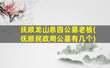抚顺龙山息园公墓老板(抚顺民政局公墓有几个)