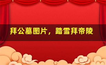 拜公墓图片，踏雪拜帝陵
