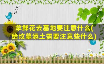 拿鲜花去墓地要注意什么(给坟墓添土需要注意些什么)