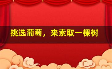 挑选葡萄，来索取一棵树