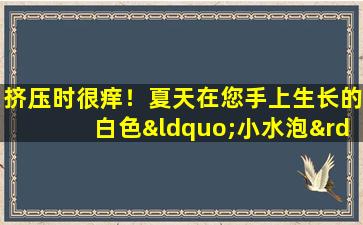 挤压时很痒！夏天在您手上生长的白色“小水泡”，在这里我会告诉你如何对待它们