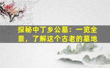 探秘中丁乡公墓：一览全景，了解这个古老的墓地