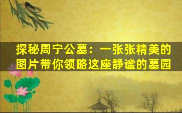 探秘周宁公墓：一张张精美的图片带你领略这座静谧的墓园