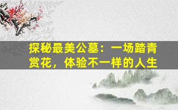 探秘最美公墓：一场踏青赏花，体验不一样的人生